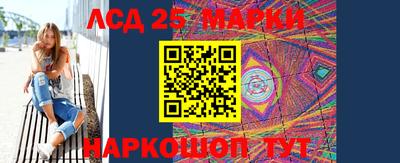 гидра Будённовск