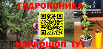 гидра Будённовск