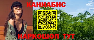 гидра Будённовск