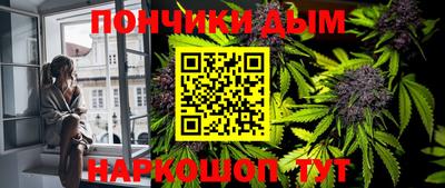гидра Будённовск