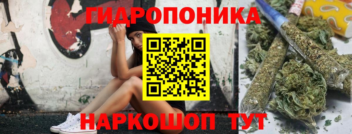 Шишки марихуана тримм  Вход с VPN  Шишки марихуана OG Kush  Лобня  Марихуана OG Kush 